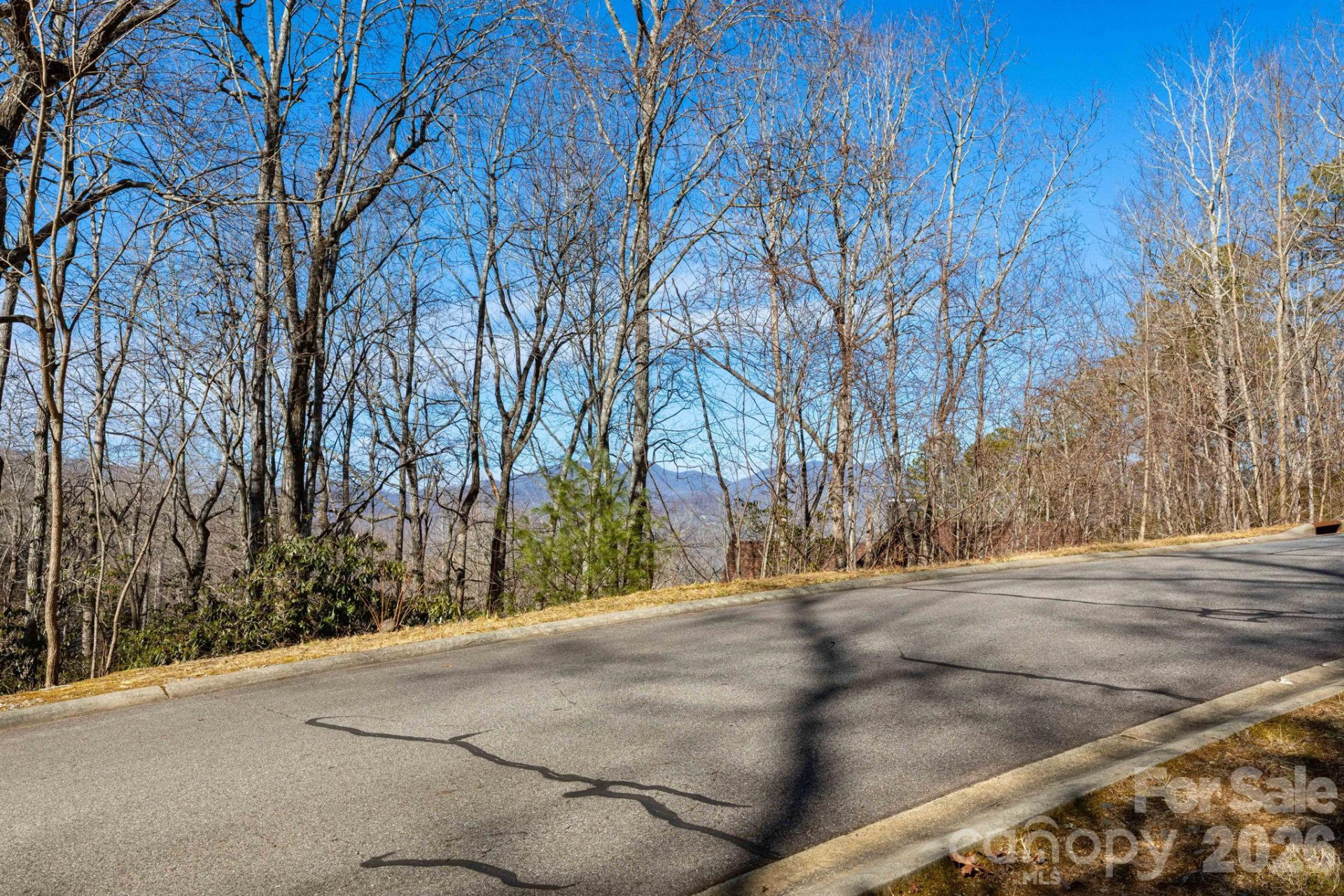 204 Settings Boulevard #247 - Photo 4