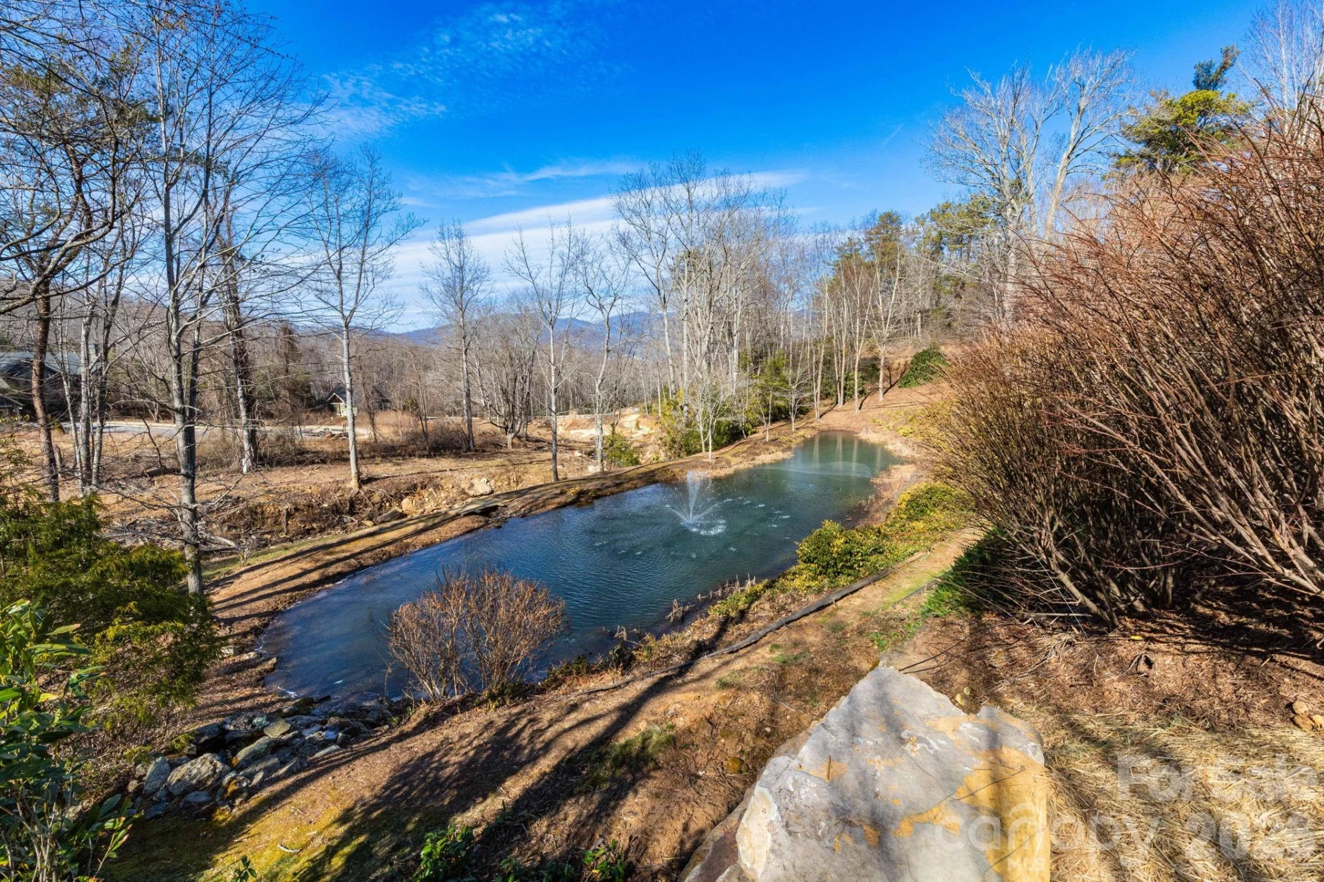 204 Settings Boulevard #247 - Photo 8