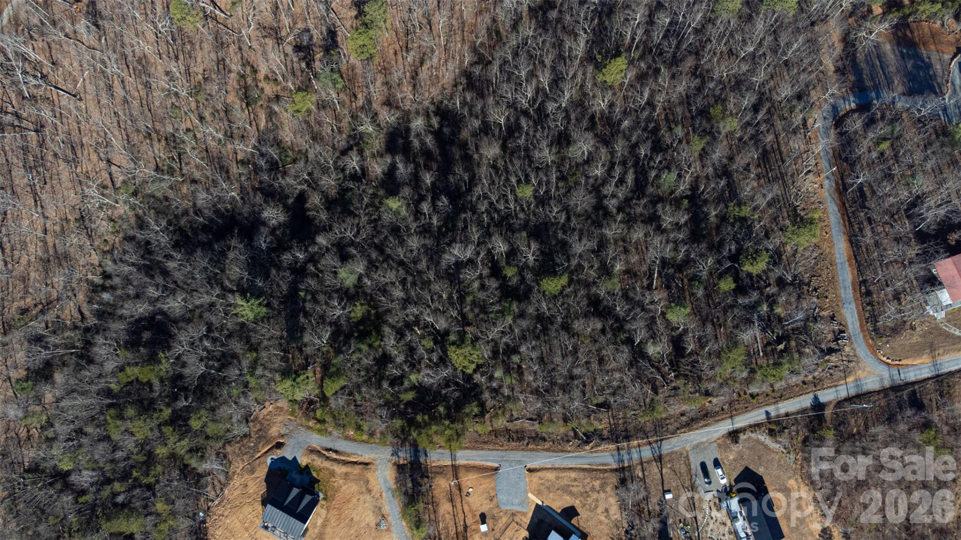 7046 Birch Lane - Photo 2