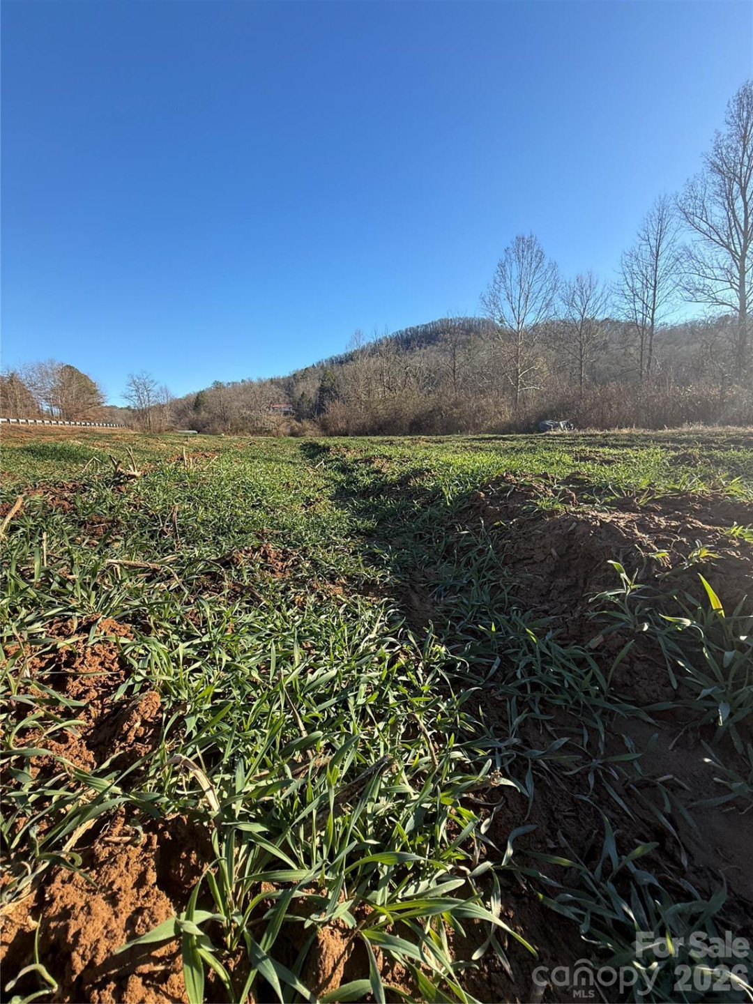 000 Old Fort Sugar Hill Road - Photo 12