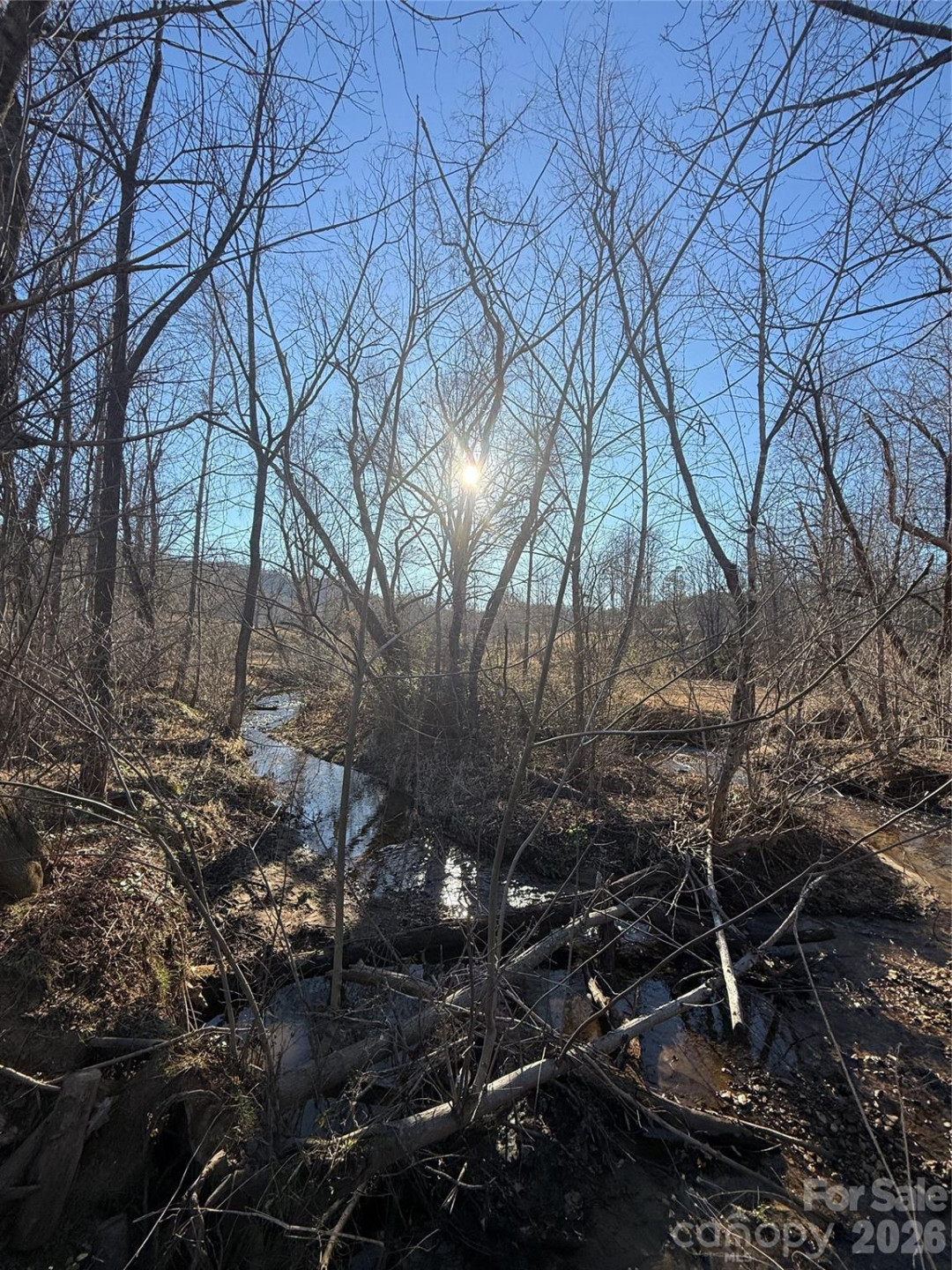 000 Old Fort Sugar Hill Road - Photo 3