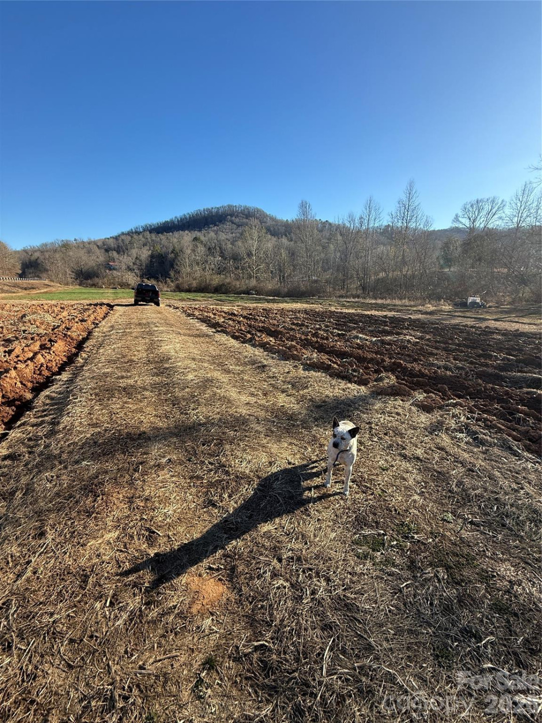 000 Old Fort Sugar Hill Road - Photo 34