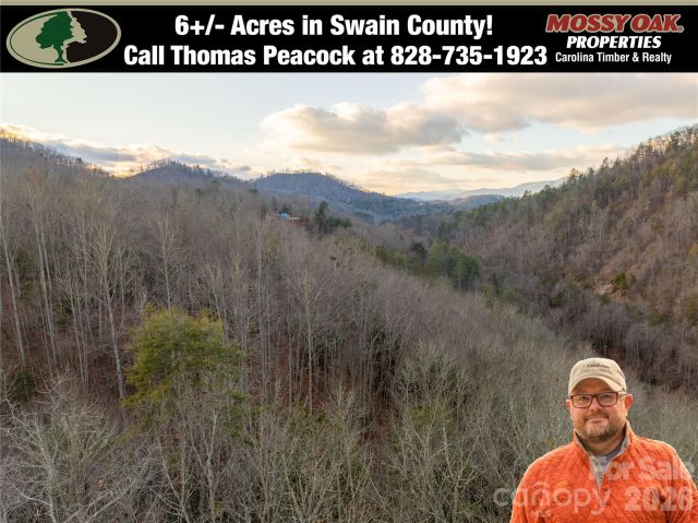 9180 Lower Alarka Road, Bryson City, NC, 28713