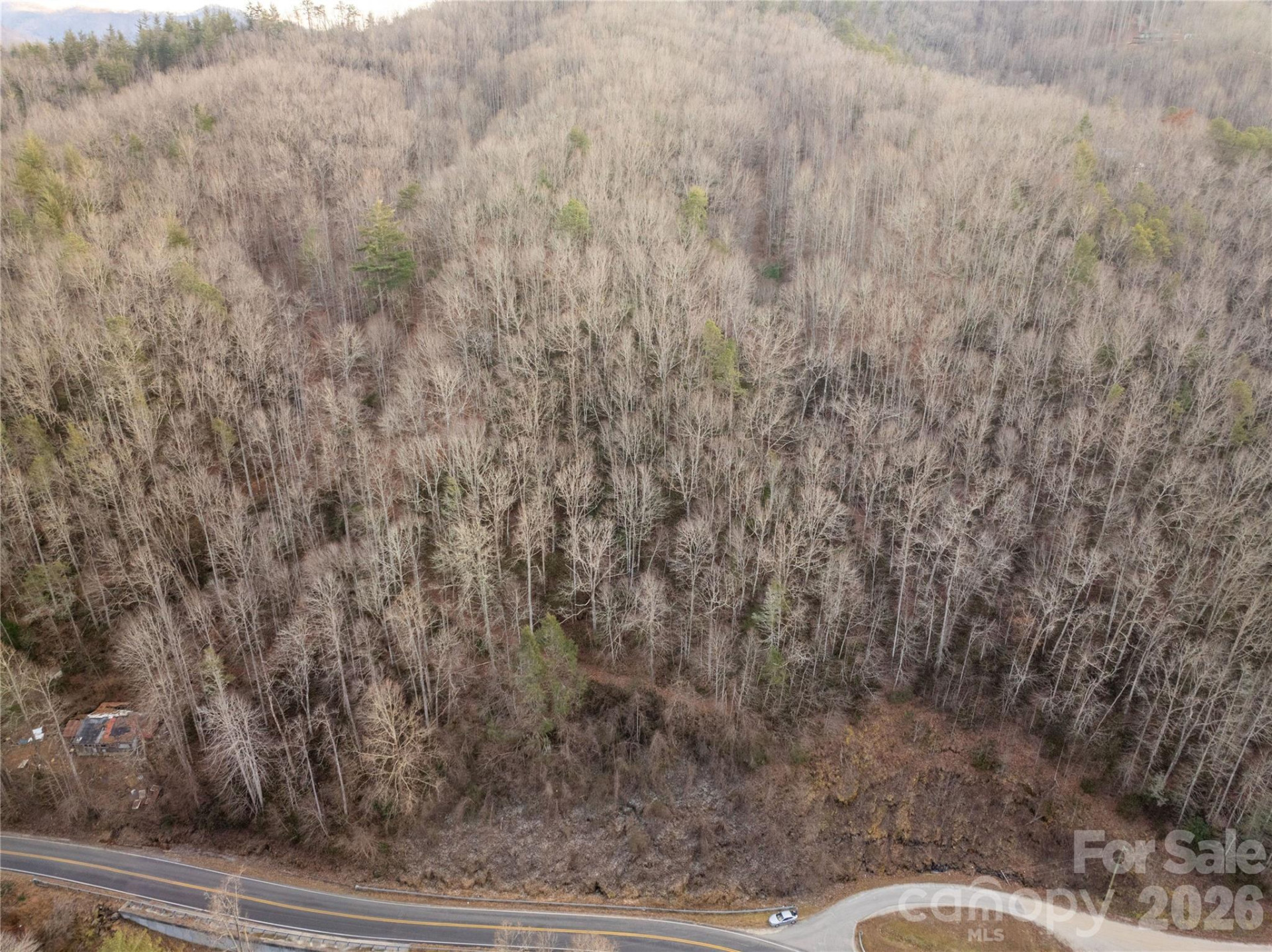 9180 Lower Alarka Road - Photo 2