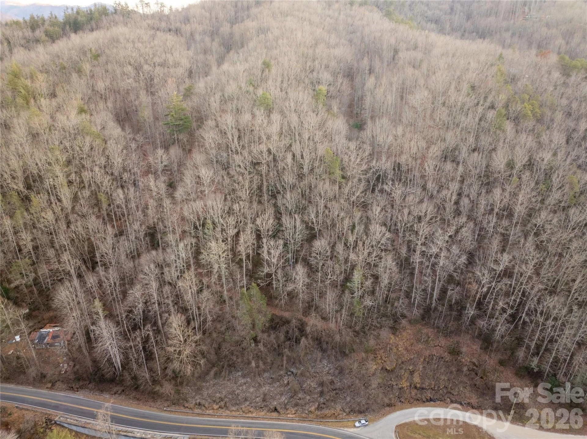 9180 Lower Alarka Road - Photo 2
