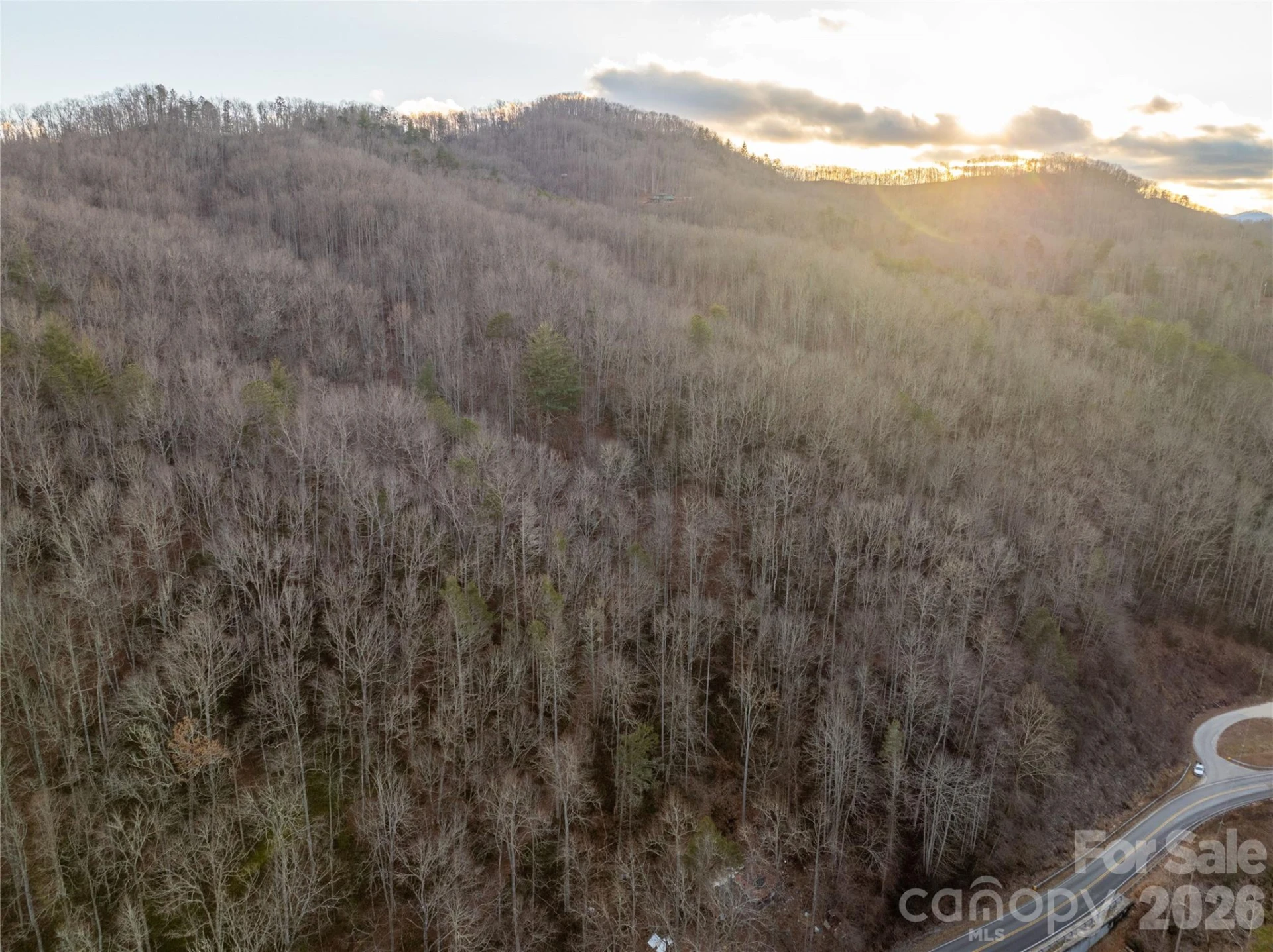 9180 Lower Alarka Road - Photo 3