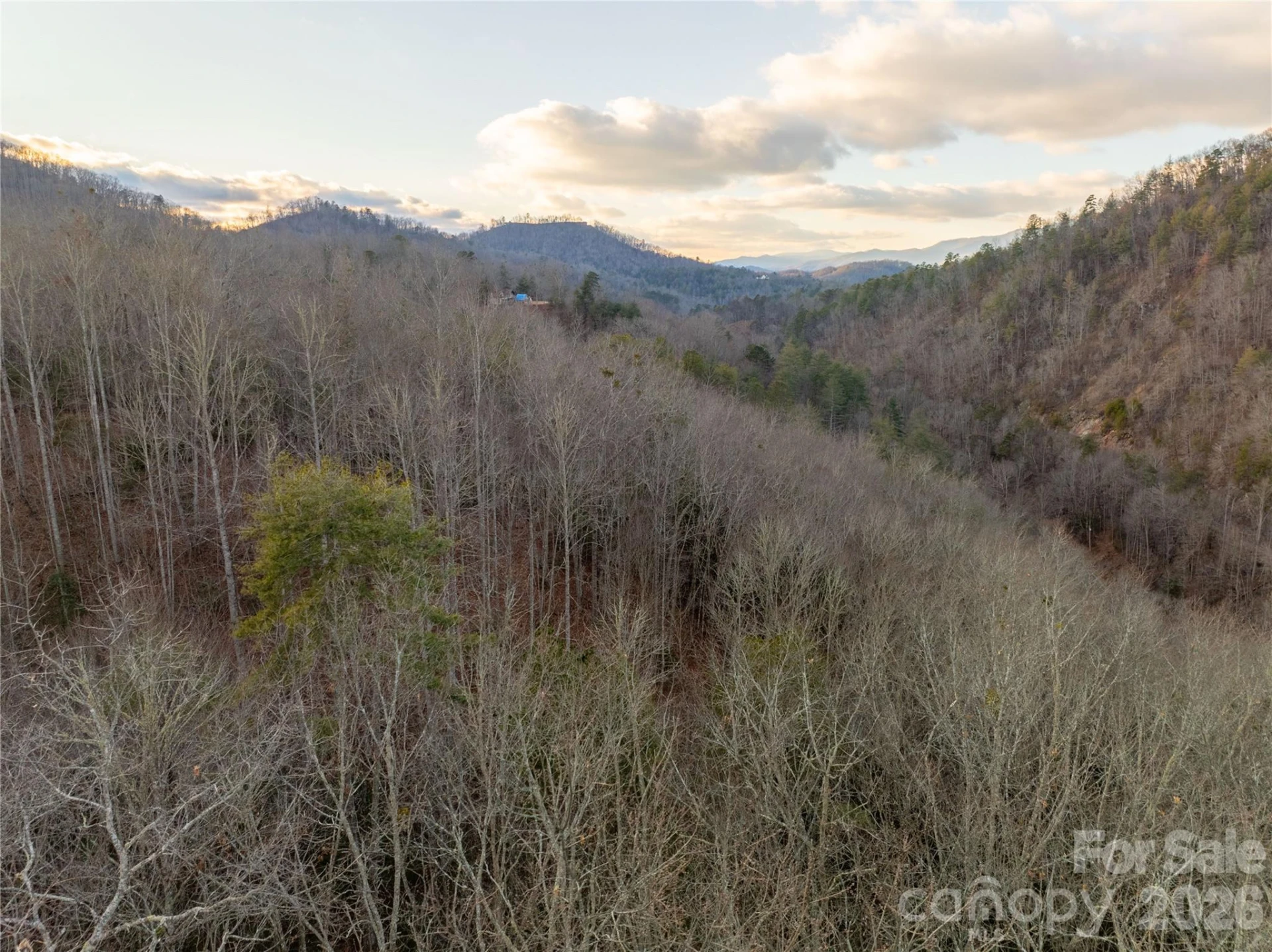 9180 Lower Alarka Road - Photo 4