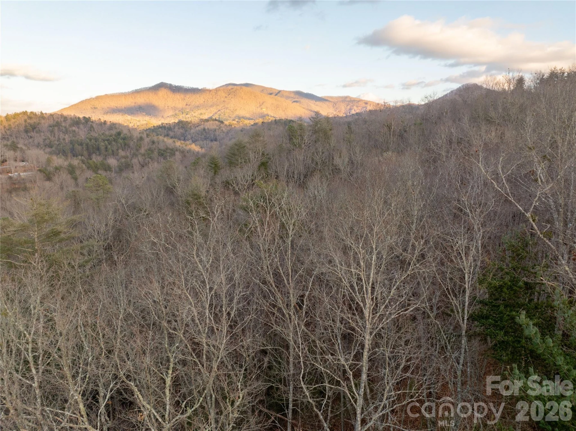 9180 Lower Alarka Road - Photo 5