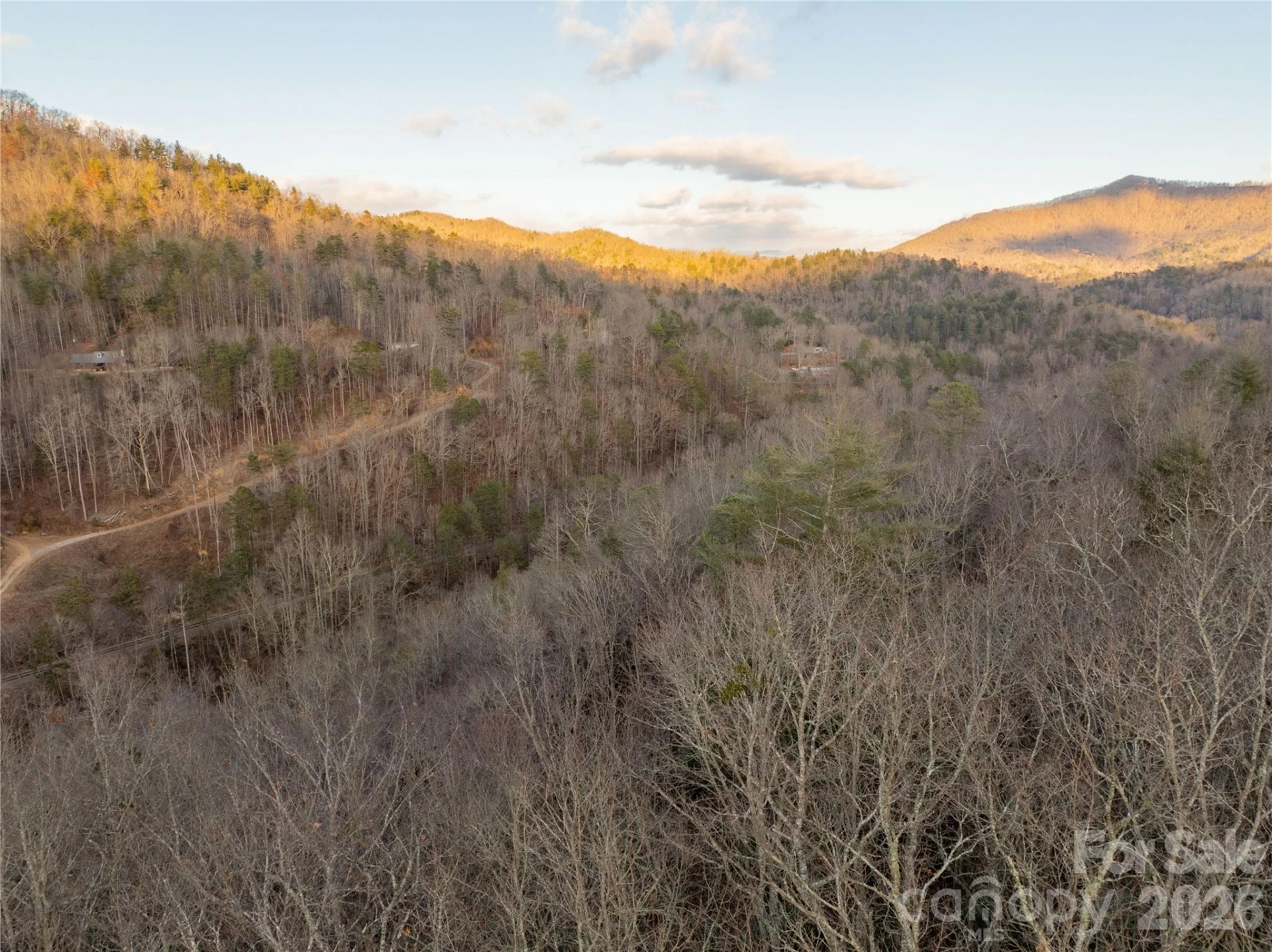 9180 Lower Alarka Road - Photo 6