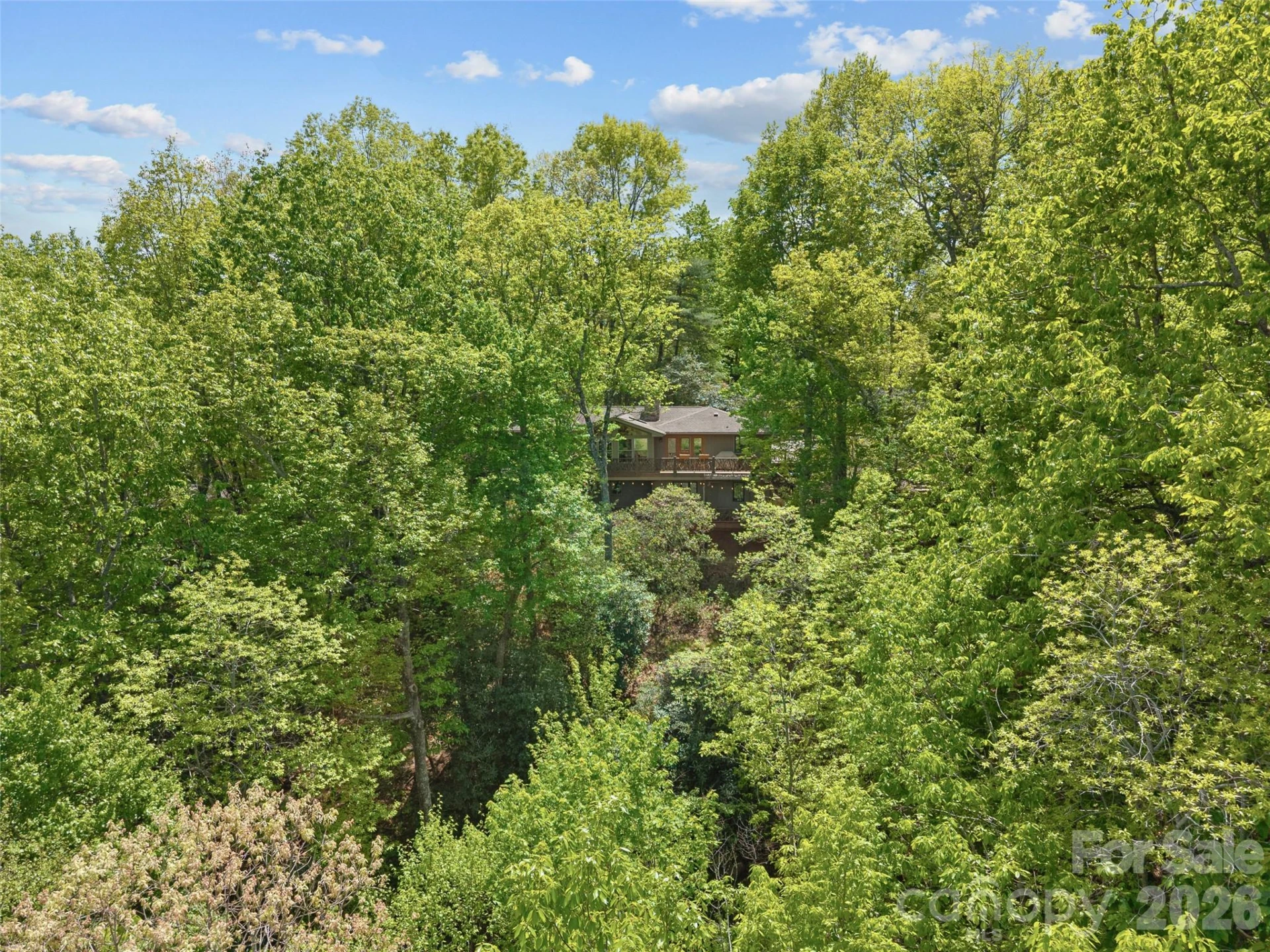 67 Ossarooga Court - Photo 75