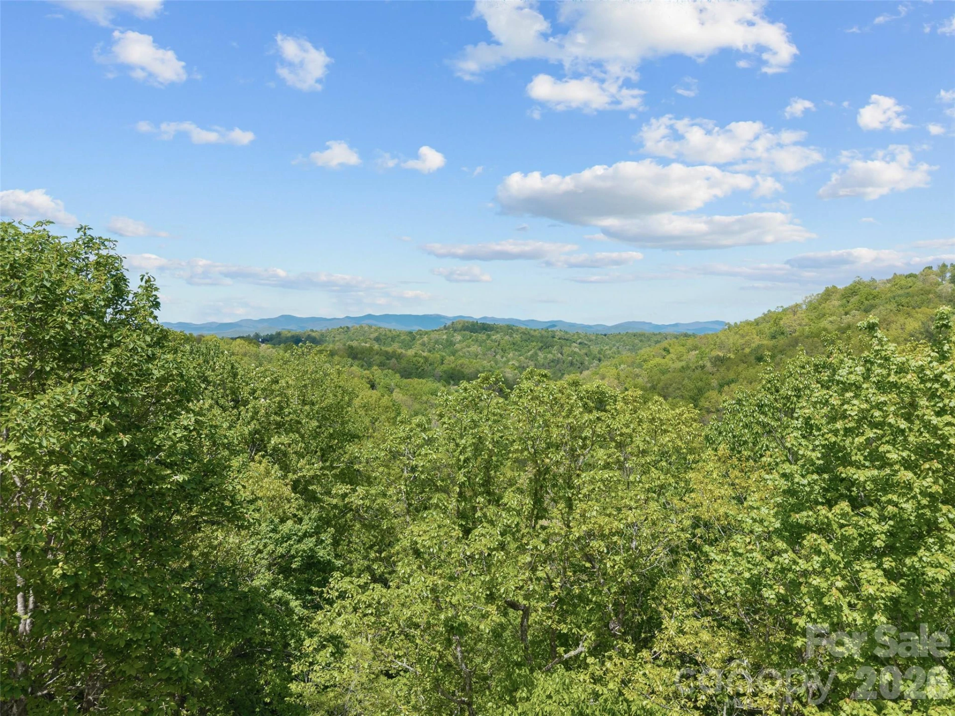 67 Ossarooga Court - Photo 79