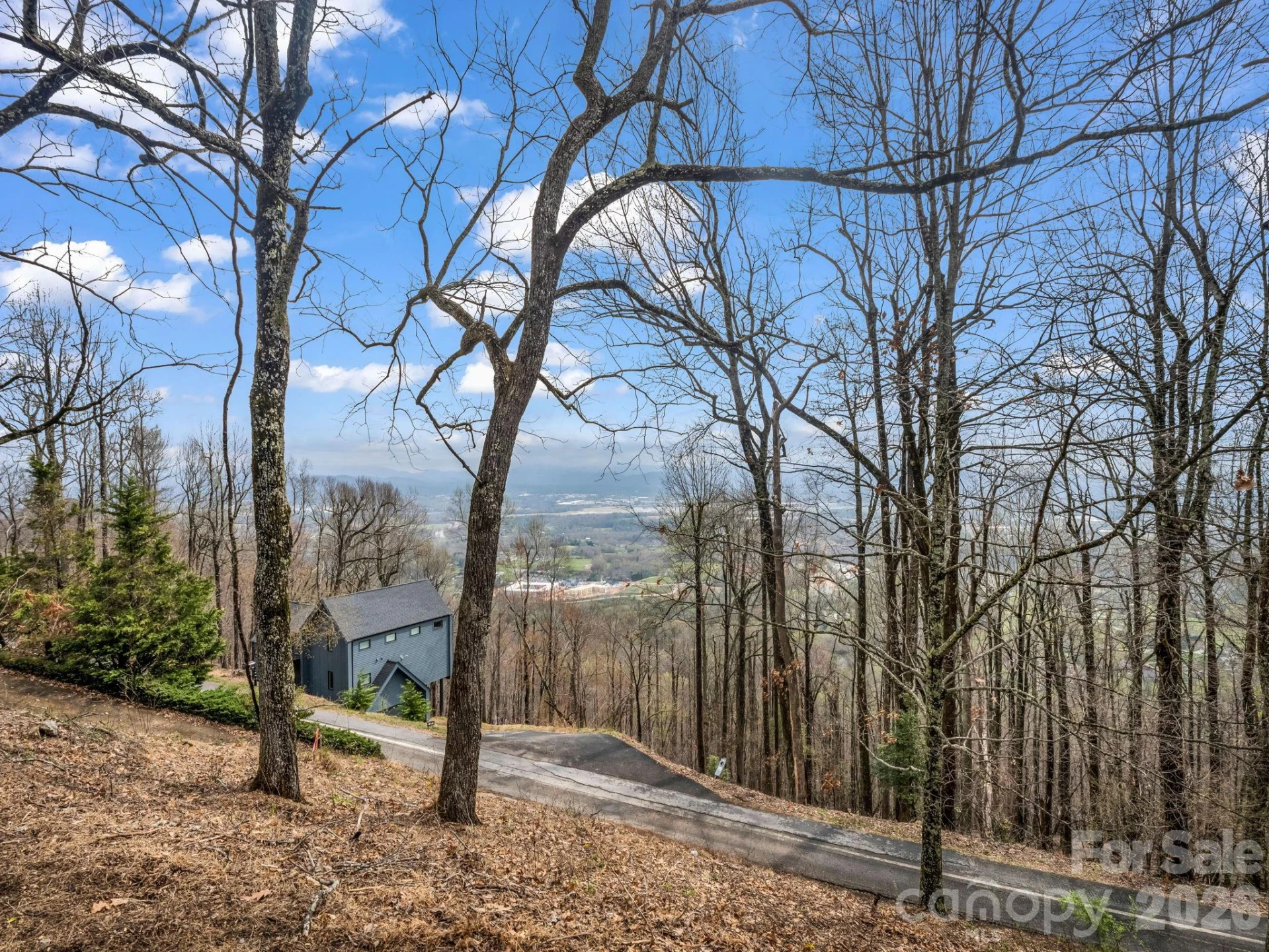 5 Chestnut Top Circle - Photo 2