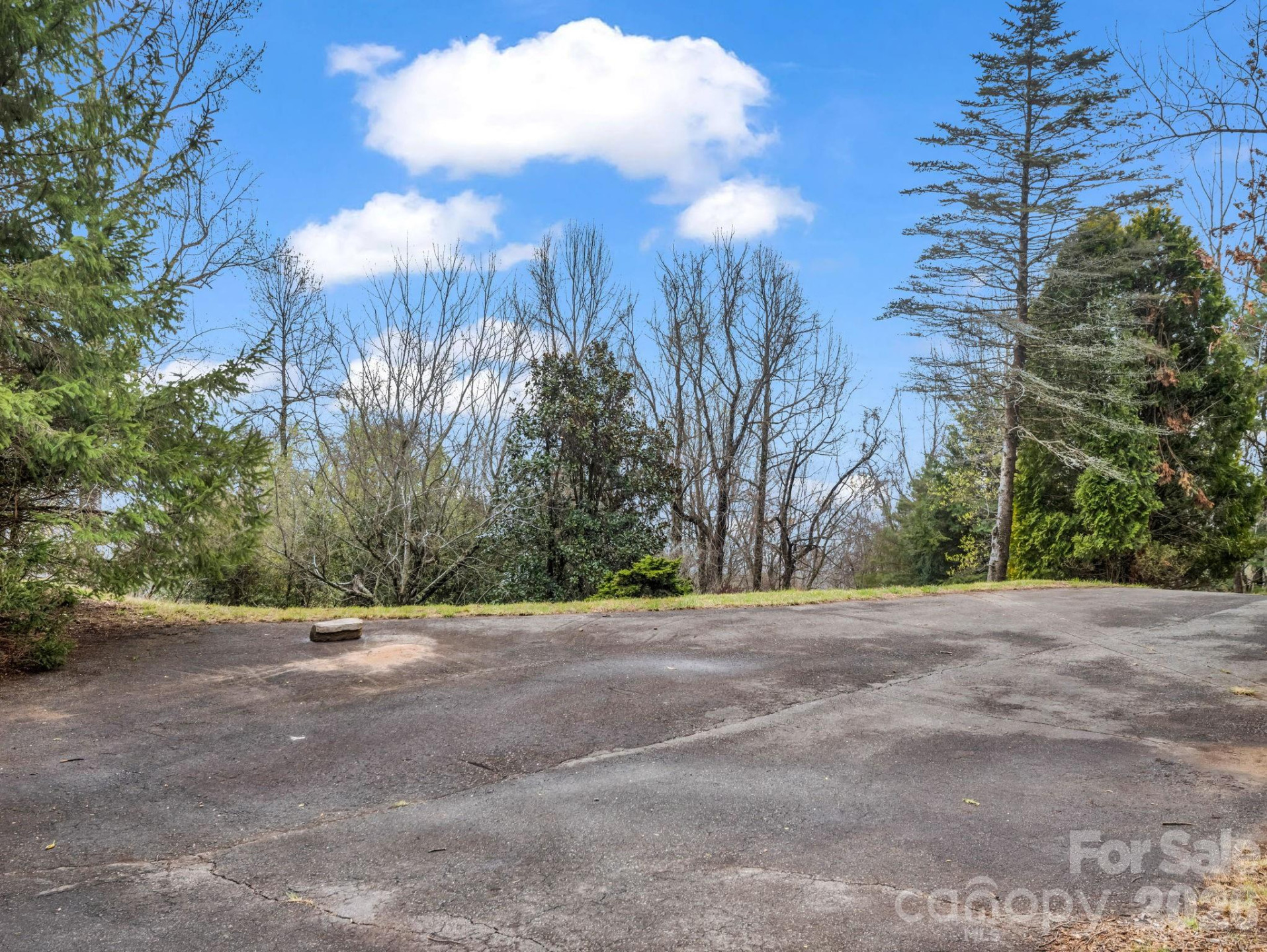 5 Chestnut Top Circle - Photo 6