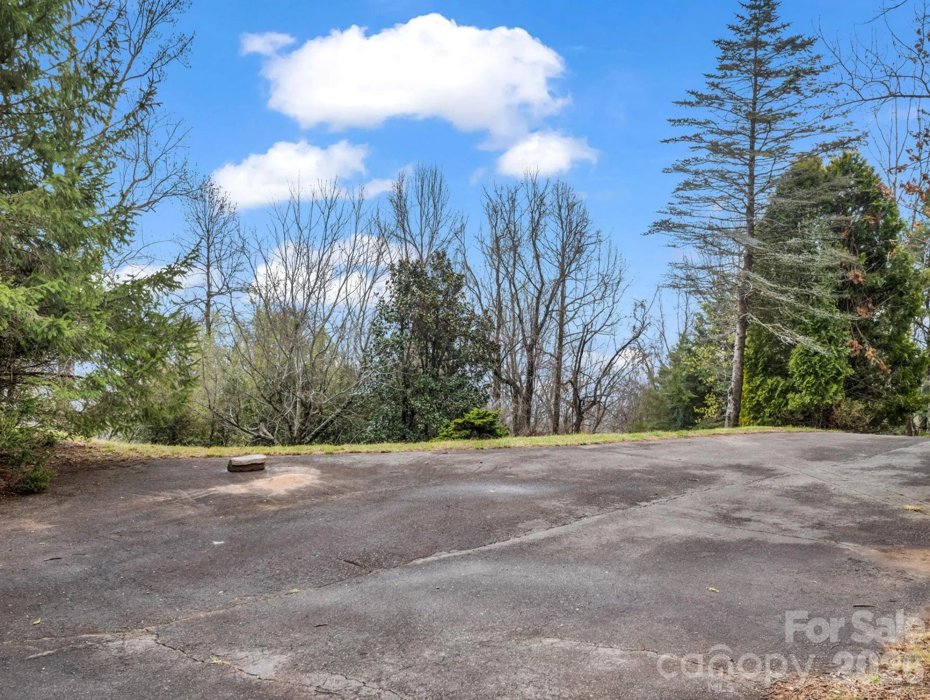 5 Chestnut Top Circle - Photo 6