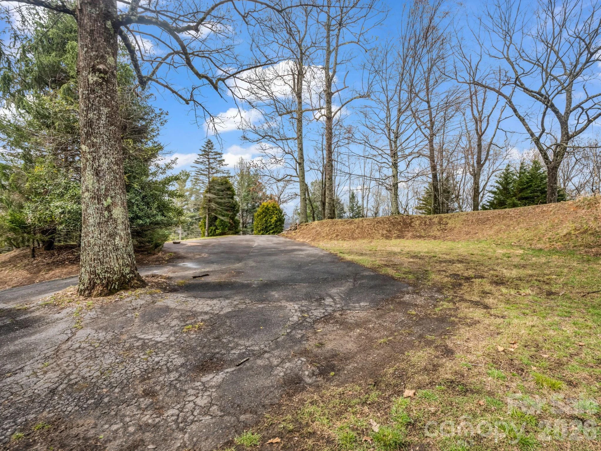 5 Chestnut Top Circle - Photo 7