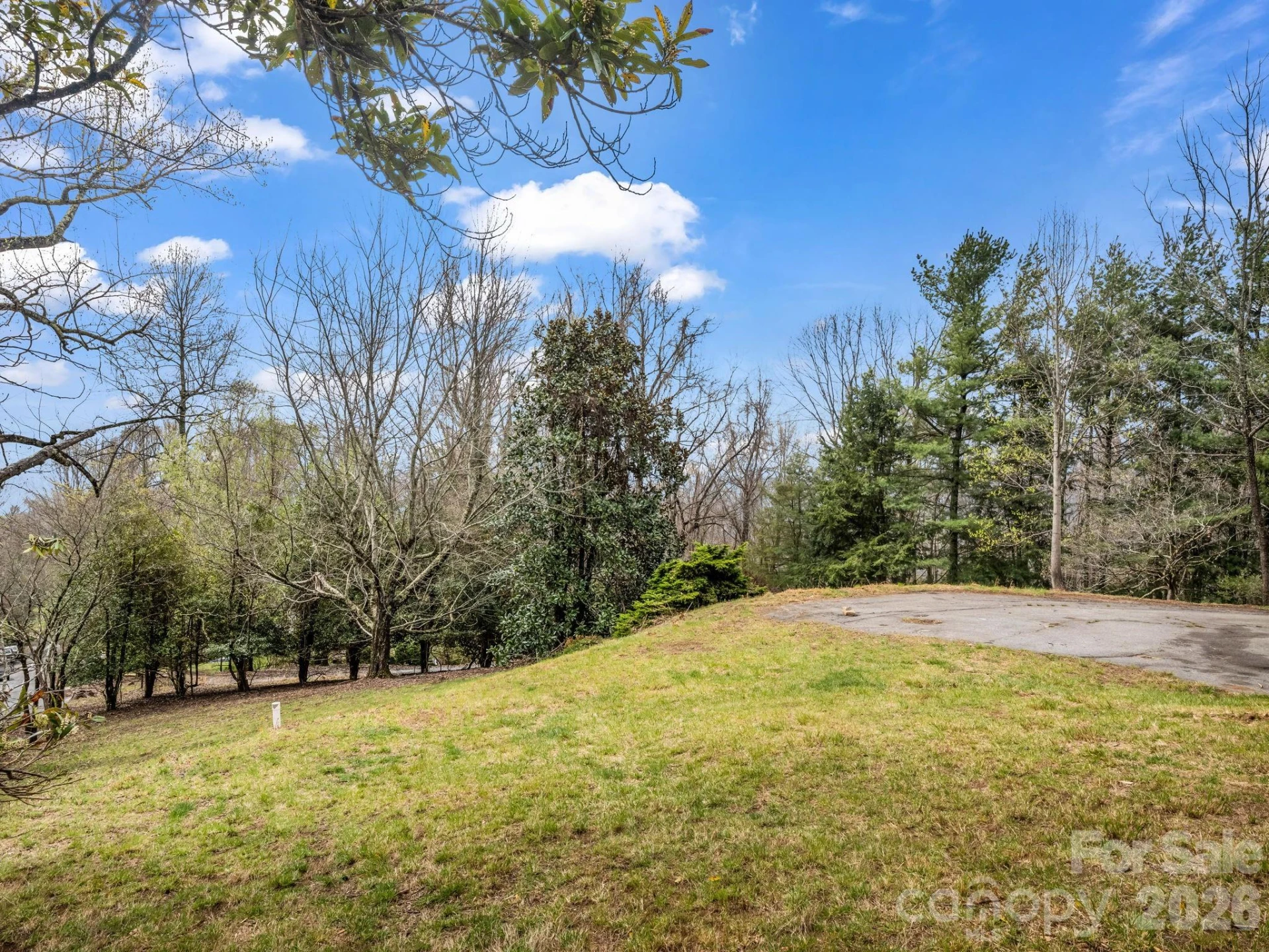 5 Chestnut Top Circle - Photo 8