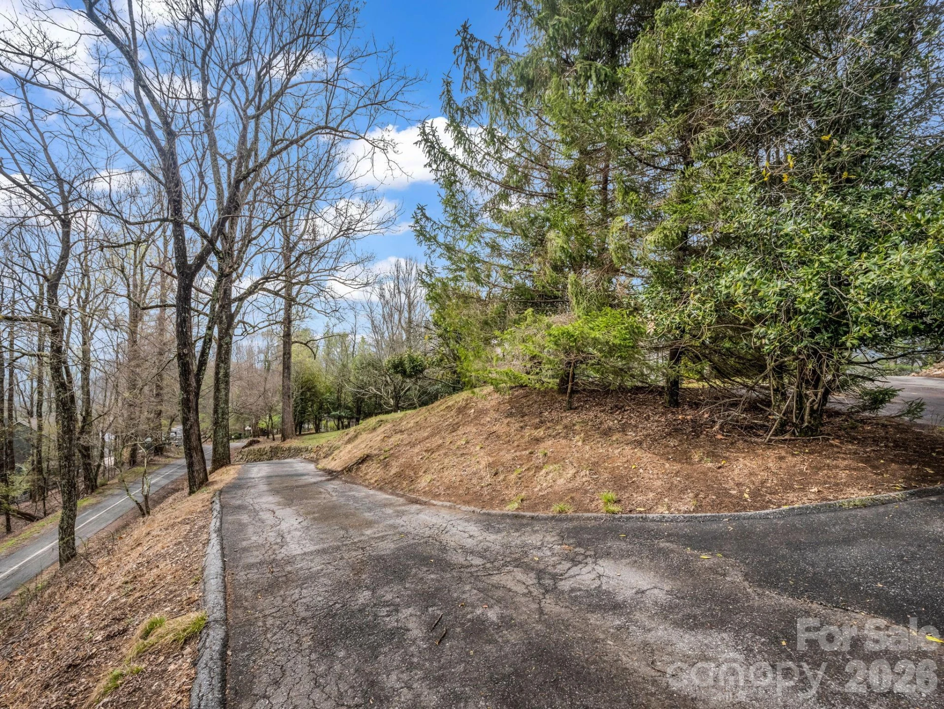 5 Chestnut Top Circle - Photo 10