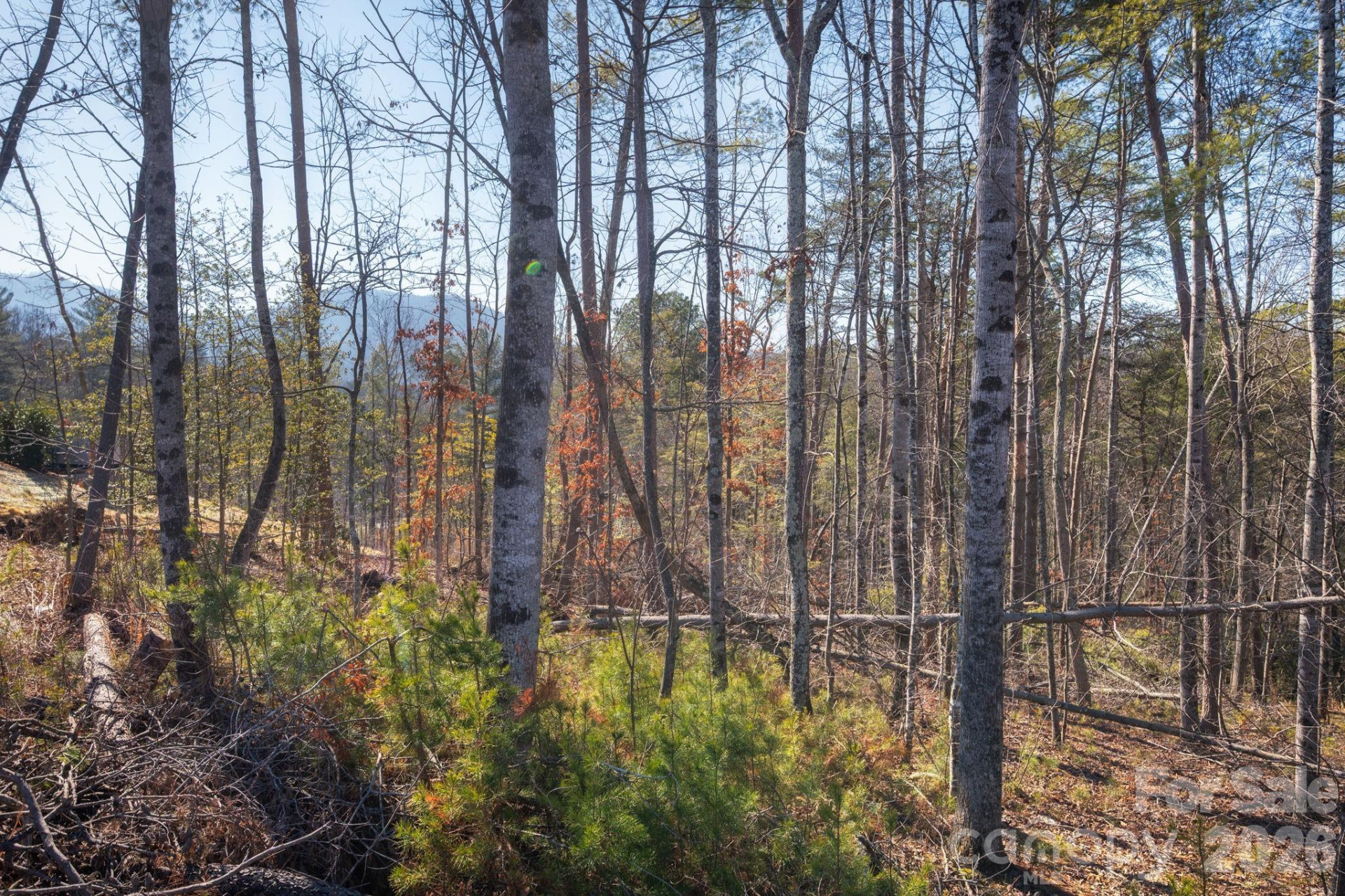 161 Riverbend Forest Drive #9 - Photo 3