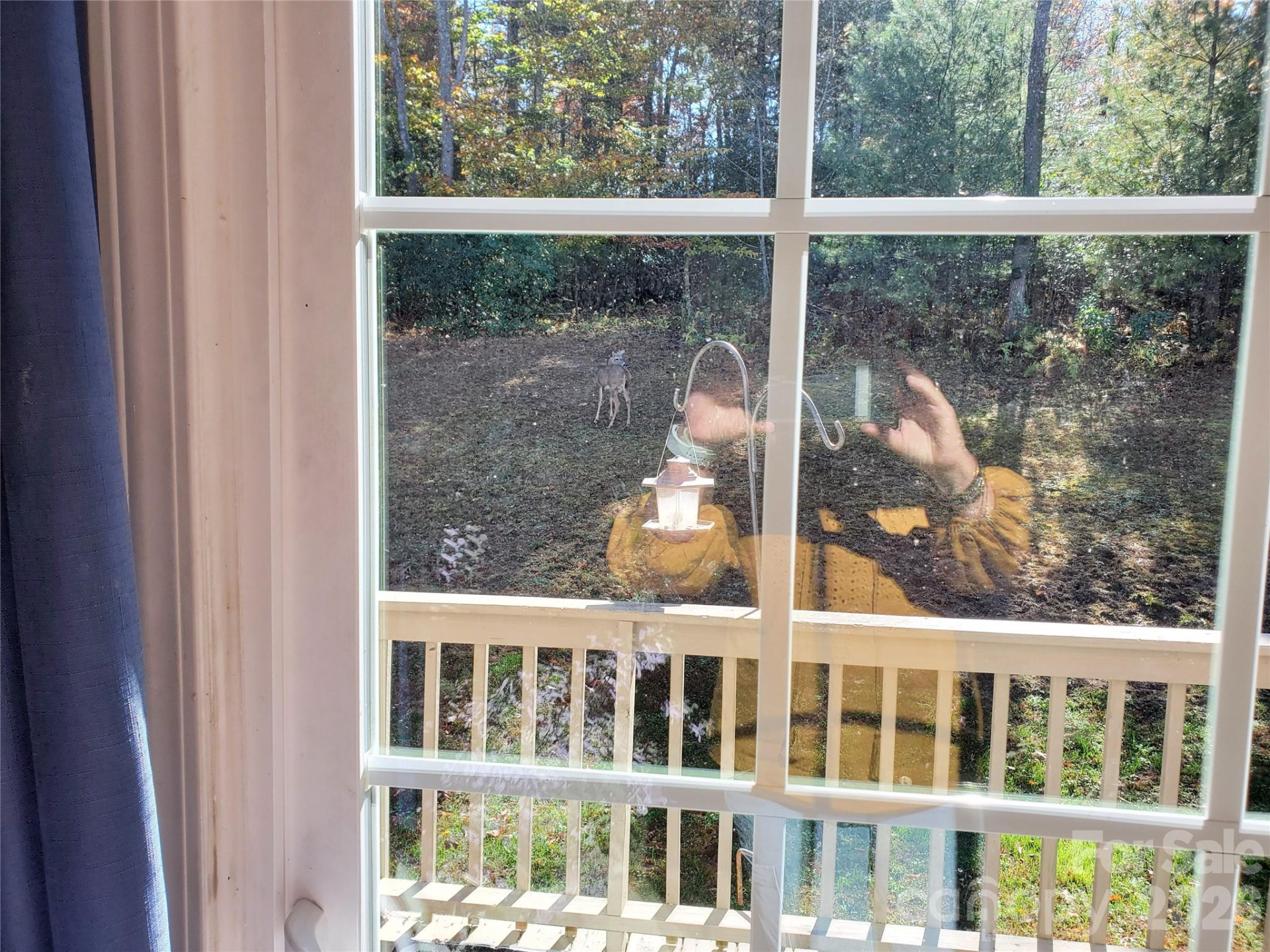 457 Dale Road - Photo 26