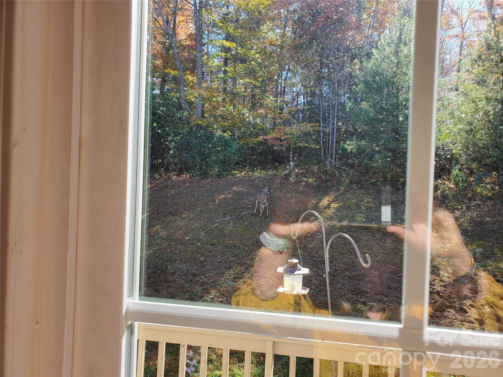 457 Dale Road - Photo 27