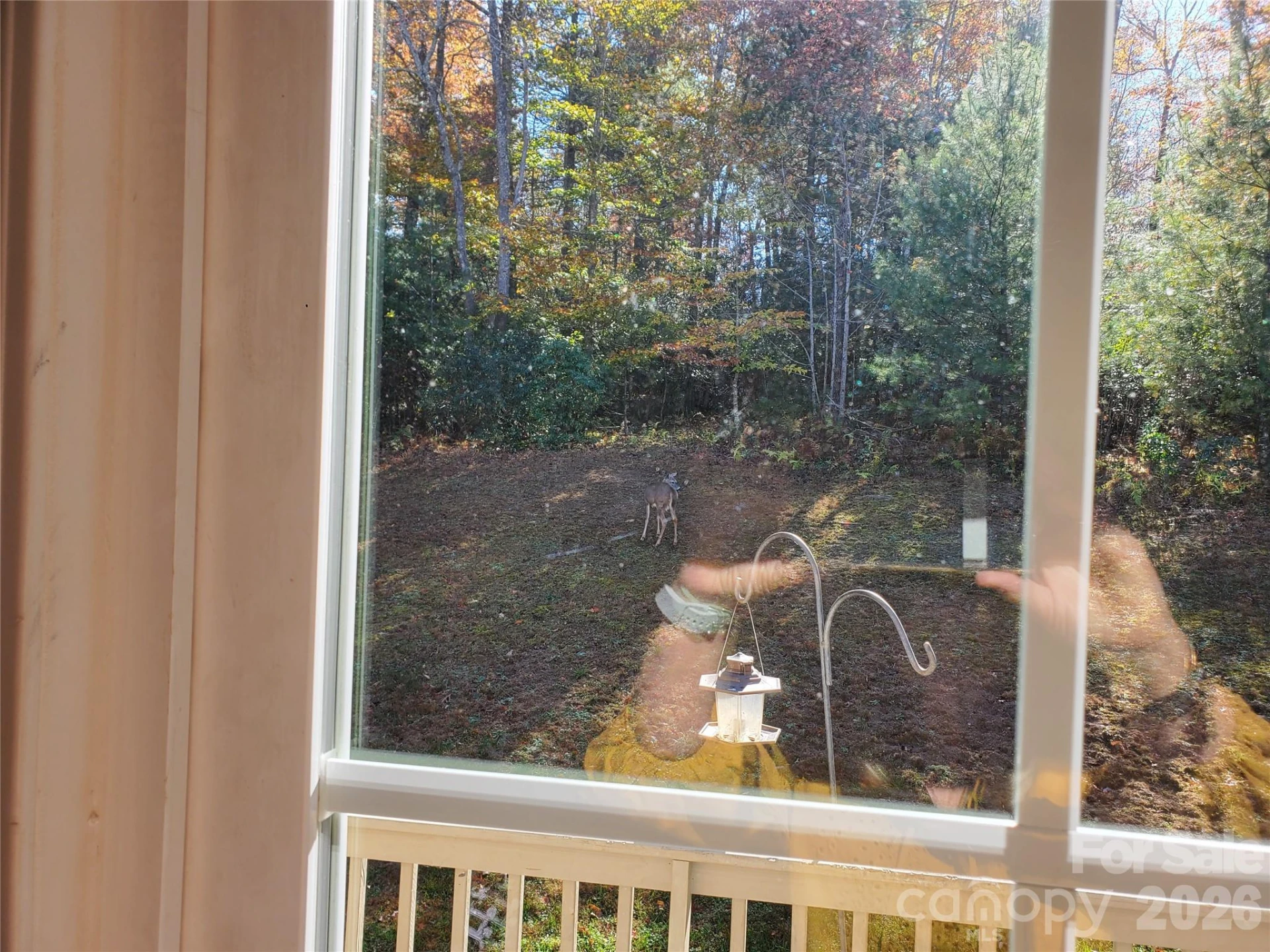 457 Dale Road - Photo 27