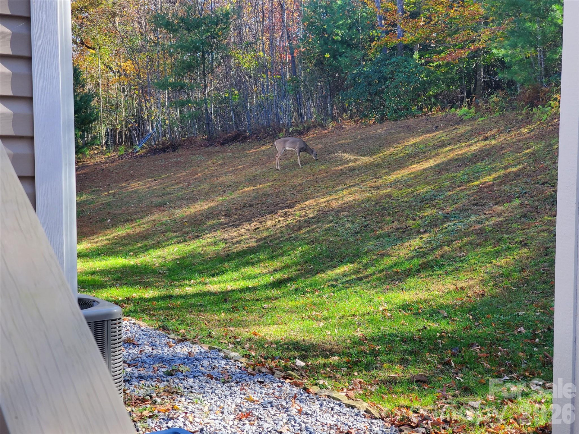 457 Dale Road - Photo 29