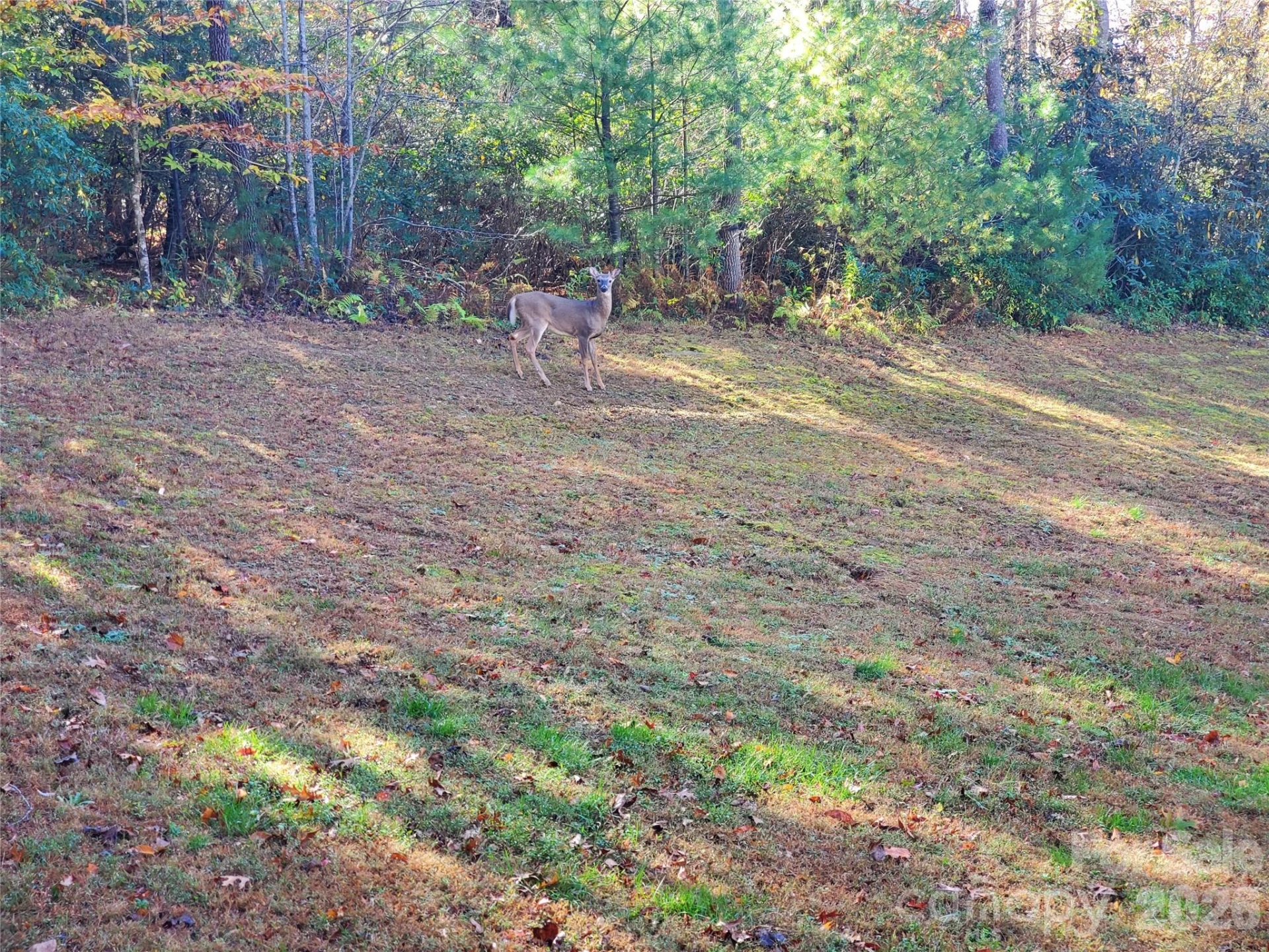 457 Dale Road - Photo 32