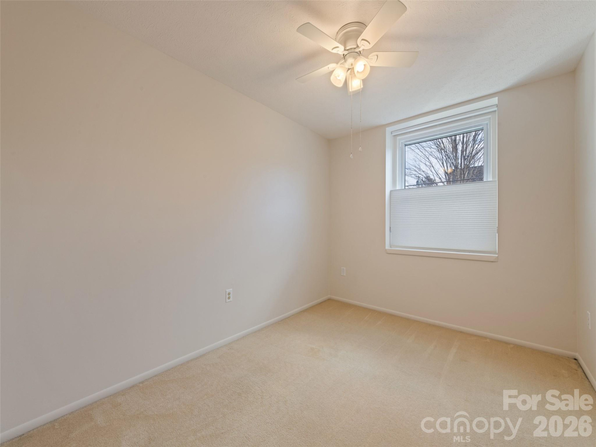 622 Haywood Street #107 - Photo 19