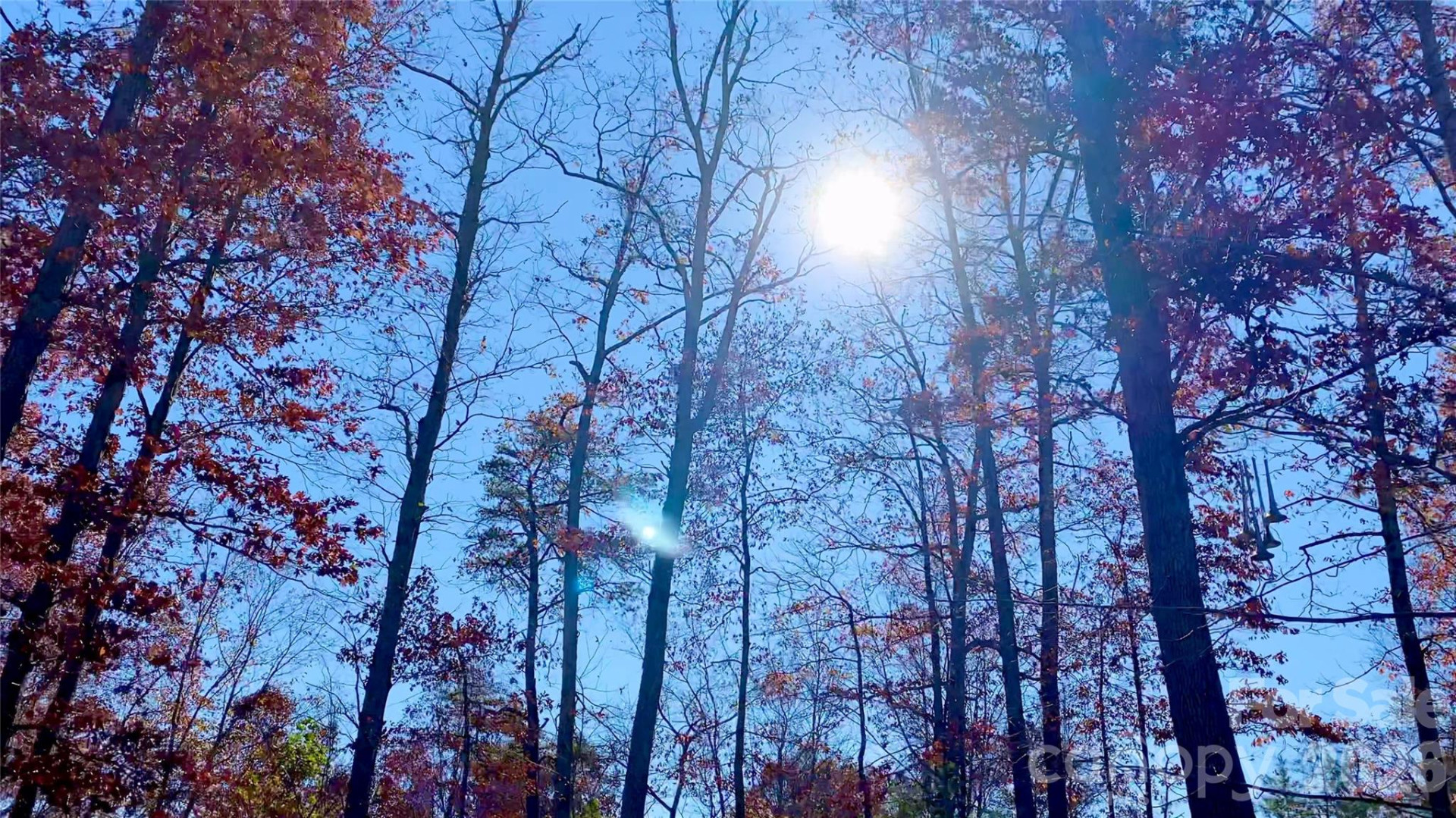 288 Rebel Drive - Photo 25