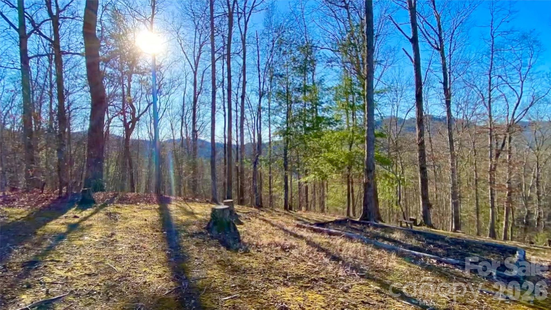 288 Rebel Drive - Photo 6