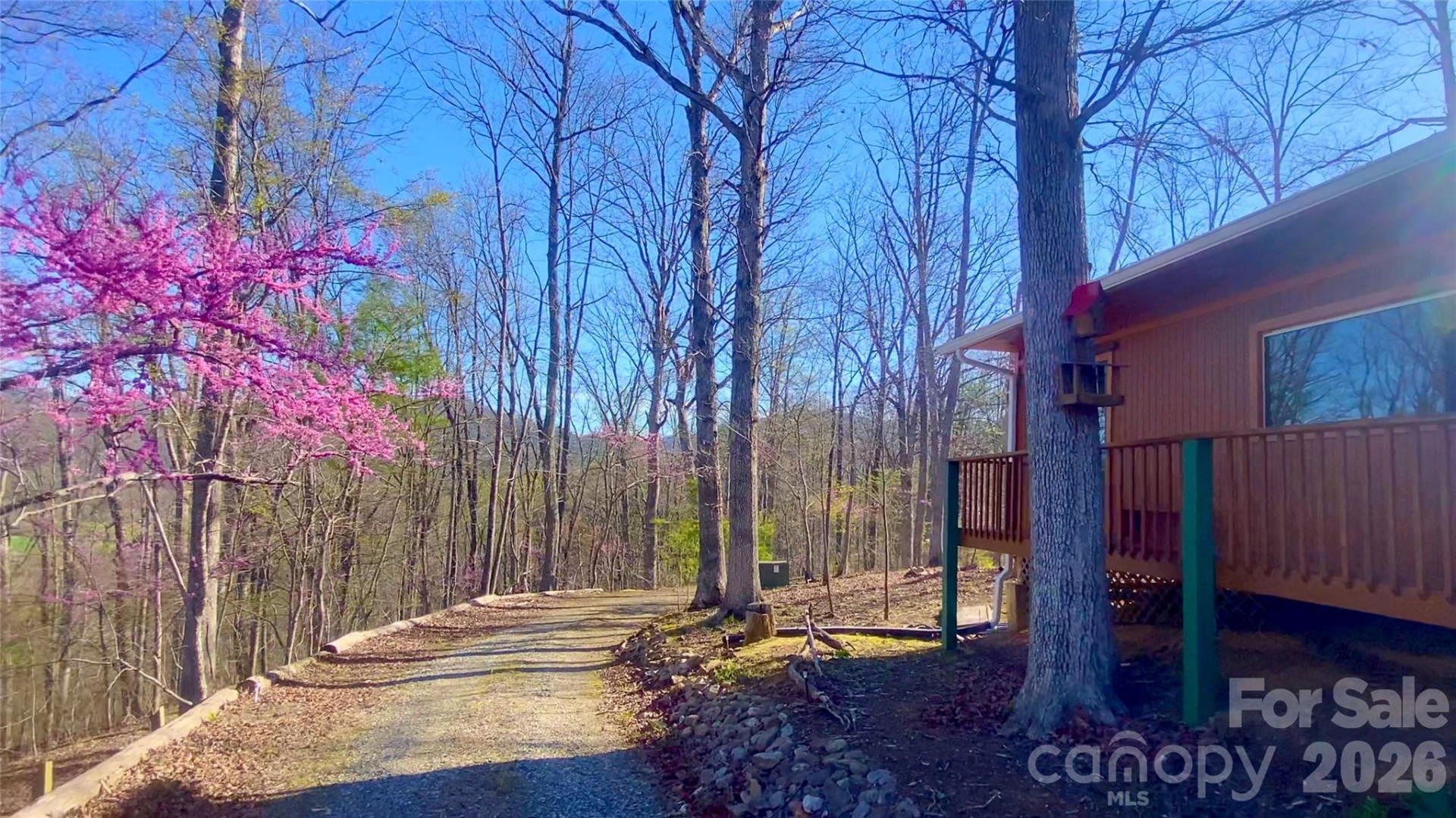 288 Rebel Drive - Photo 8