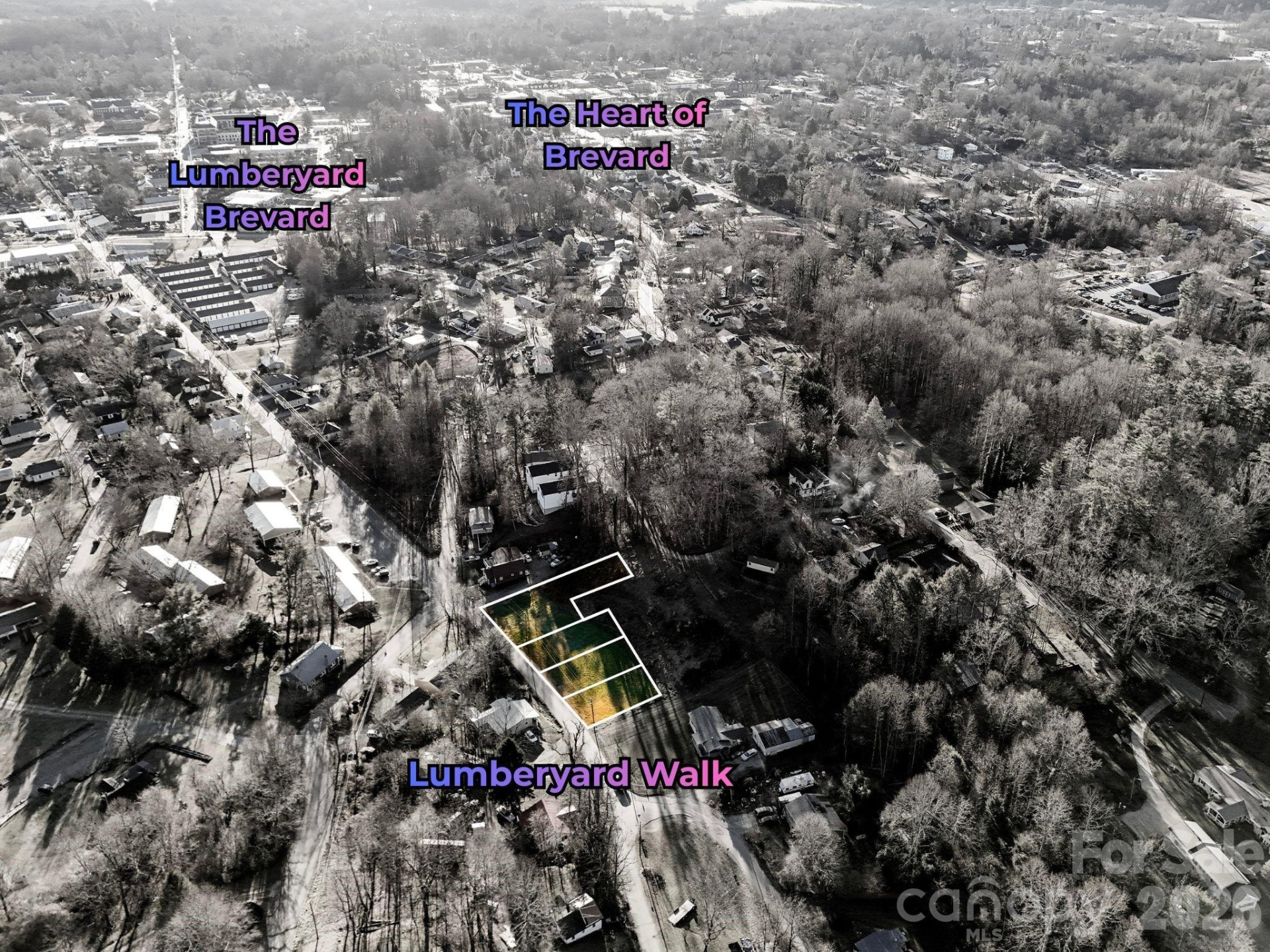 000 Whitmire Street - Photo 2