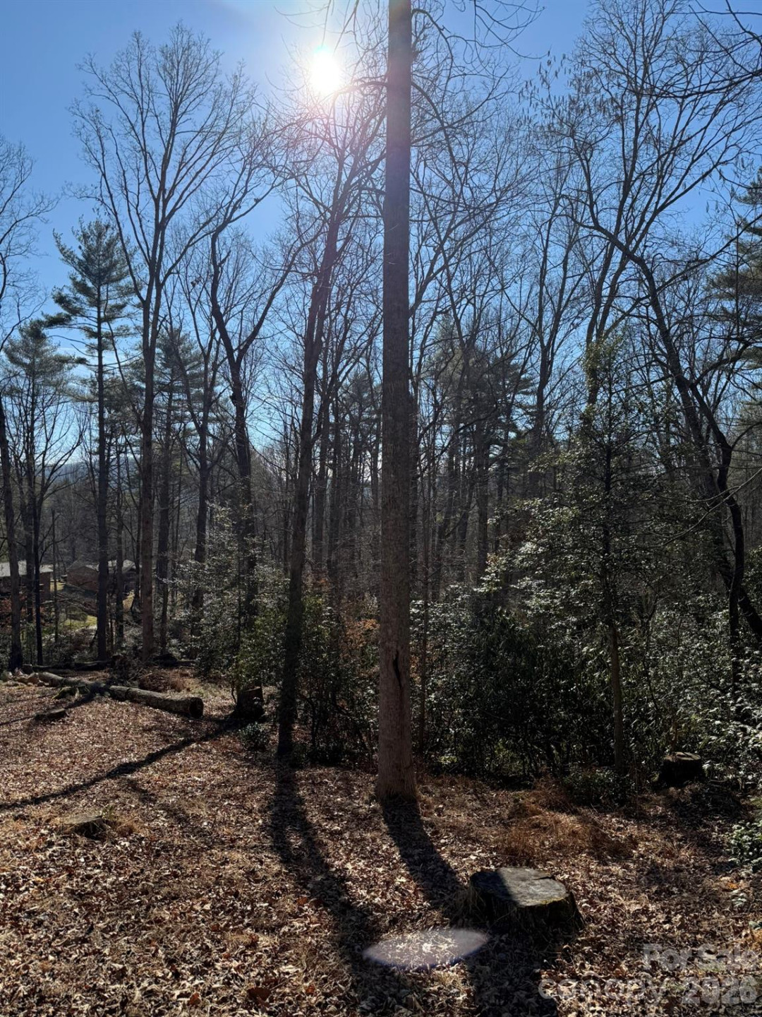 9999 Rockbrook Overlook #13 - Photo 2