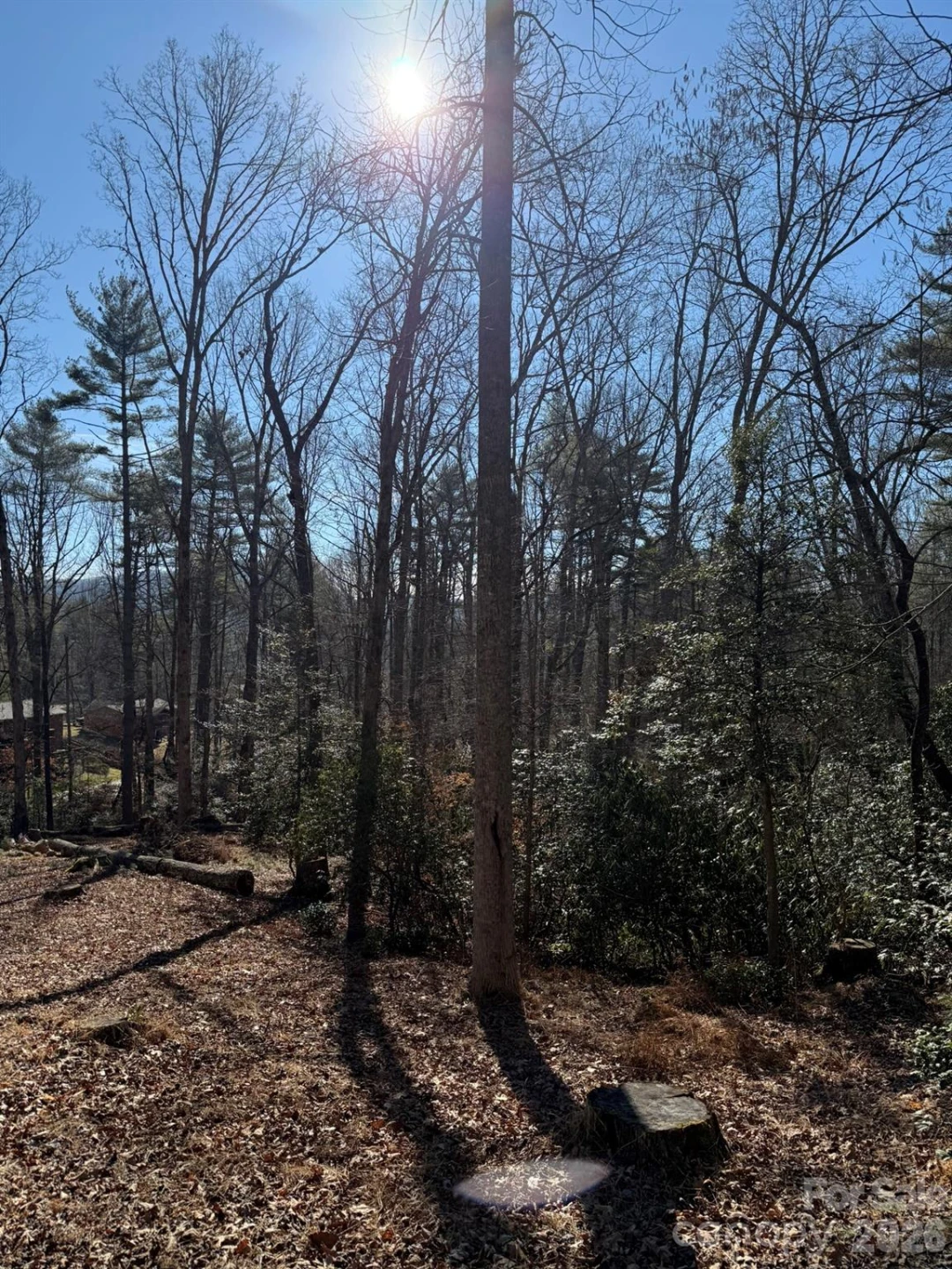 9999 Rockbrook Overlook #13 - Photo 2