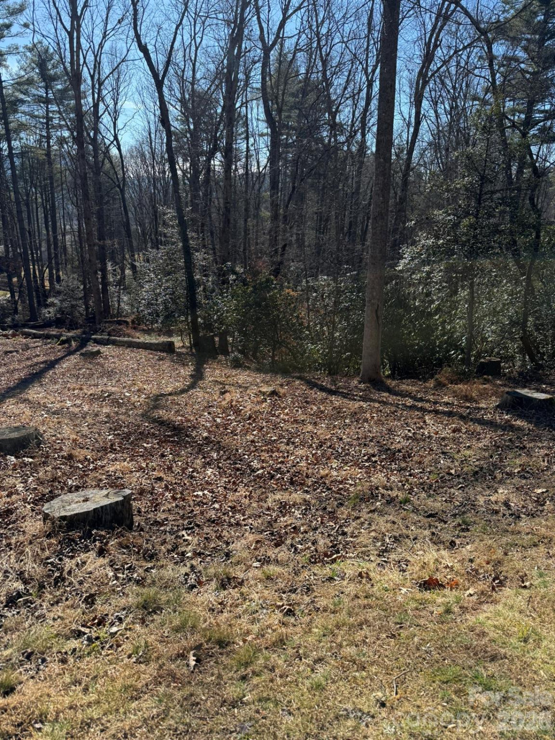 9999 Rockbrook Overlook #13 - Photo 3