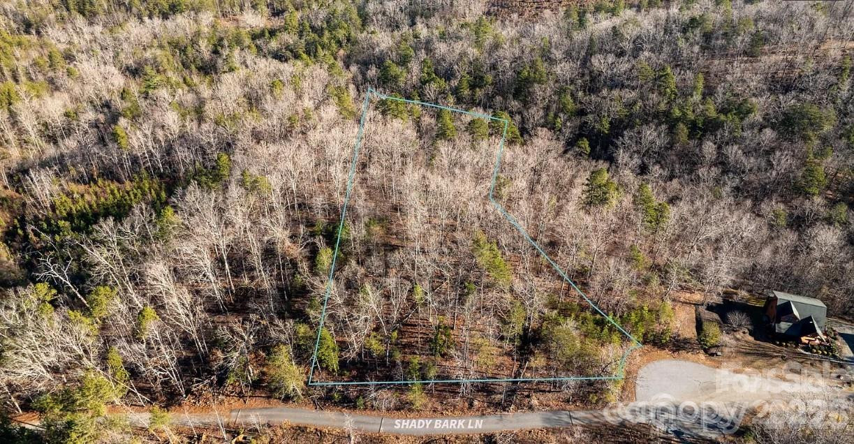 49 Shady Bark Lane - Photo 4