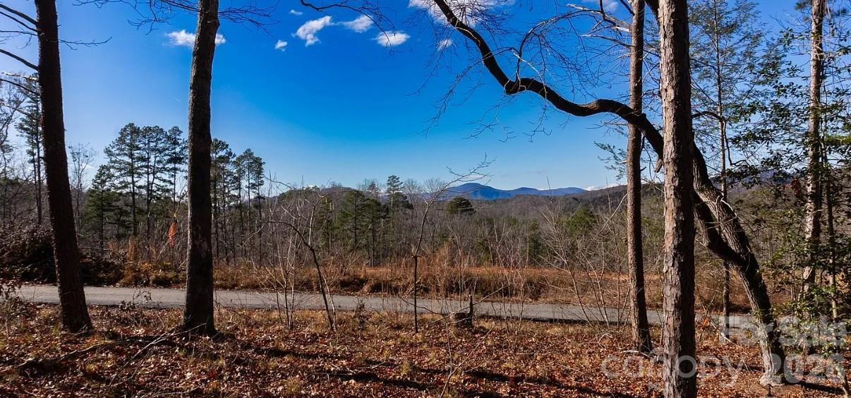 49 Shady Bark Lane - Photo 6