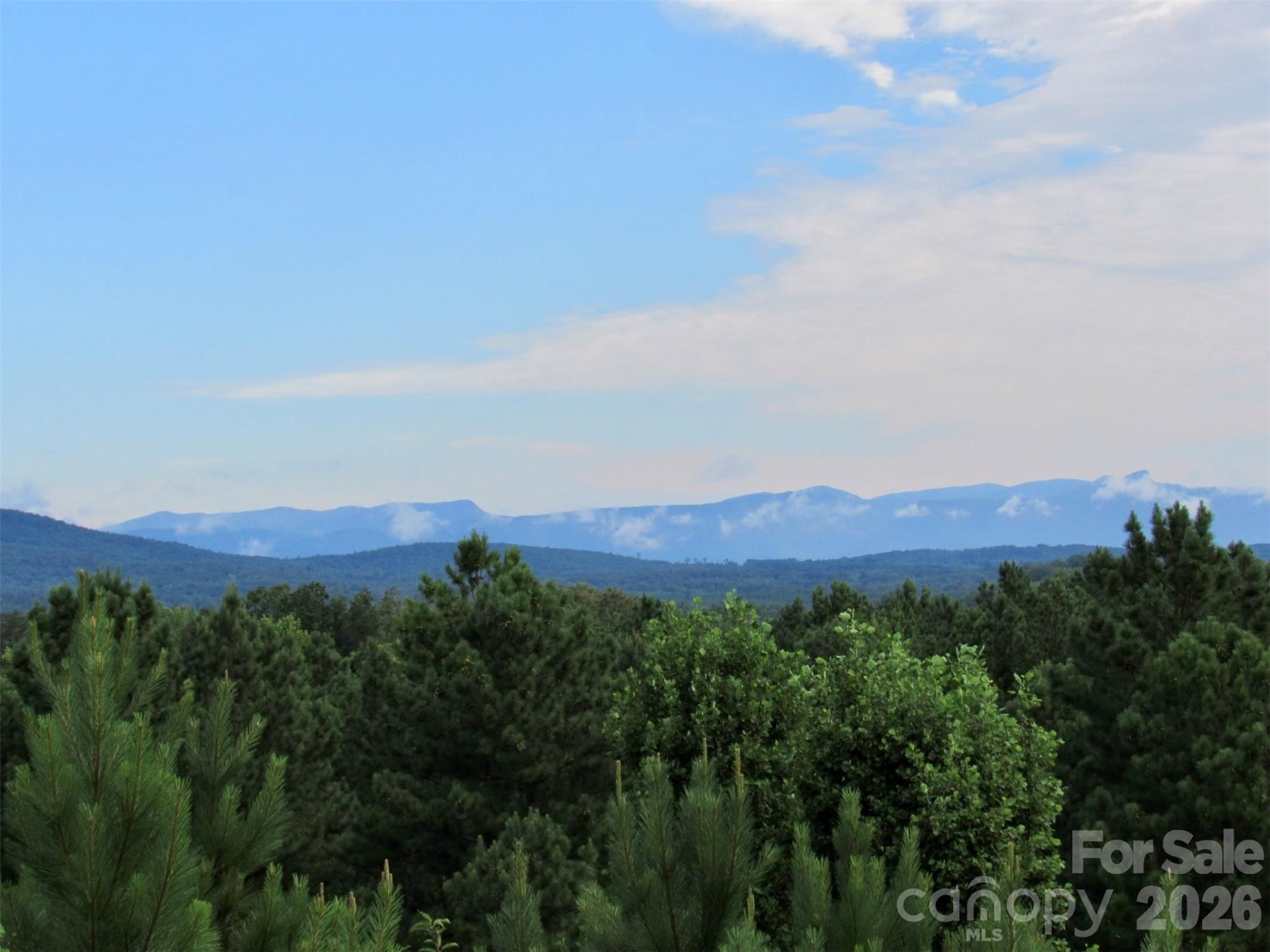 16 Saratoga Drive - Photo 32