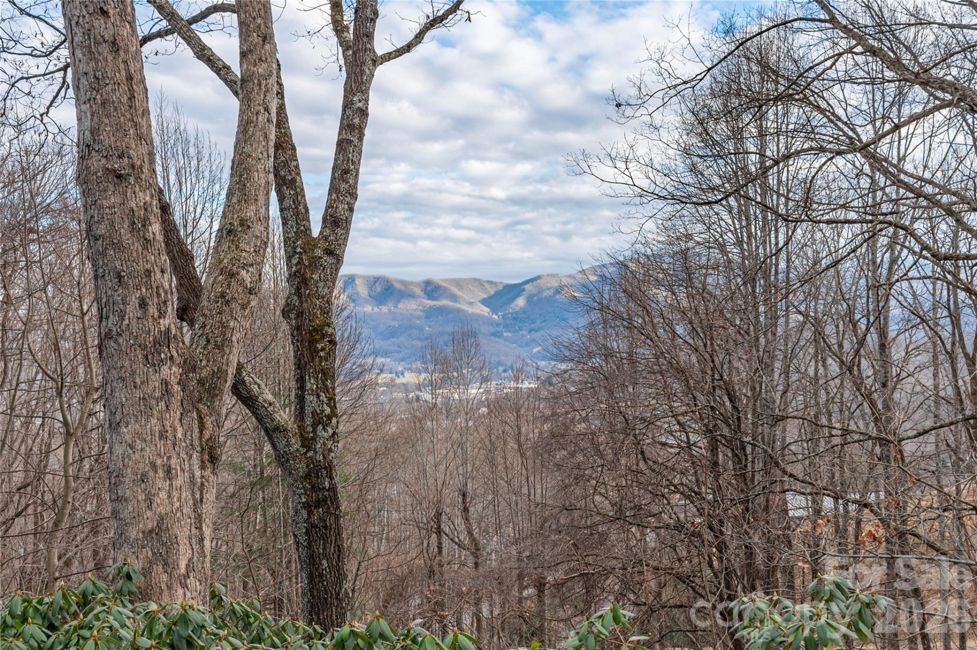 38 Laurelwood Lane - Photo 4