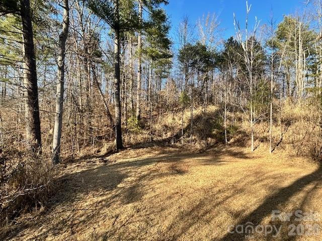 45 Marshbanks Ridge - Photo 12