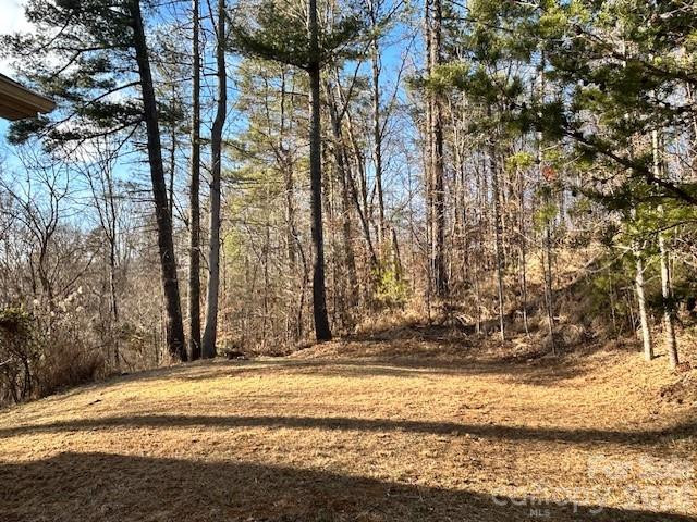 45 Marshbanks Ridge - Photo 4