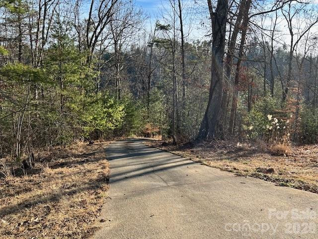 45 Marshbanks Ridge - Photo 34