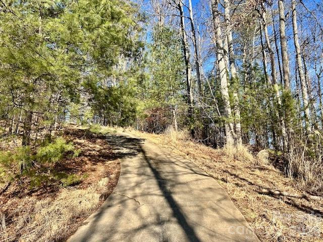 45 Marshbanks Ridge - Photo 35