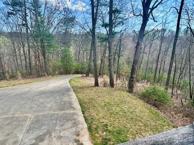 45 Marshbanks Ridge - Photo 49