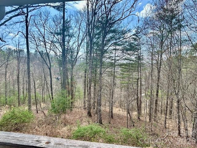 45 Marshbanks Ridge - Photo 50