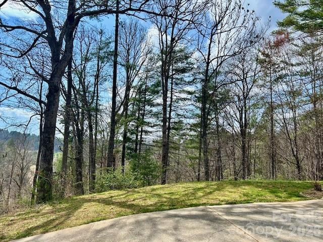 45 Marshbanks Ridge - Photo 51