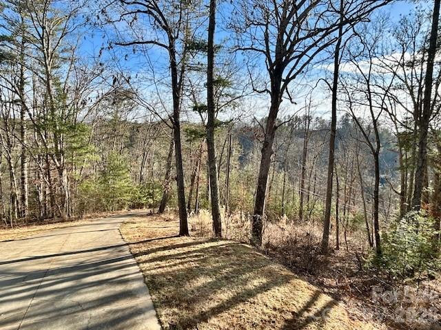 45 Marshbanks Ridge - Photo 10