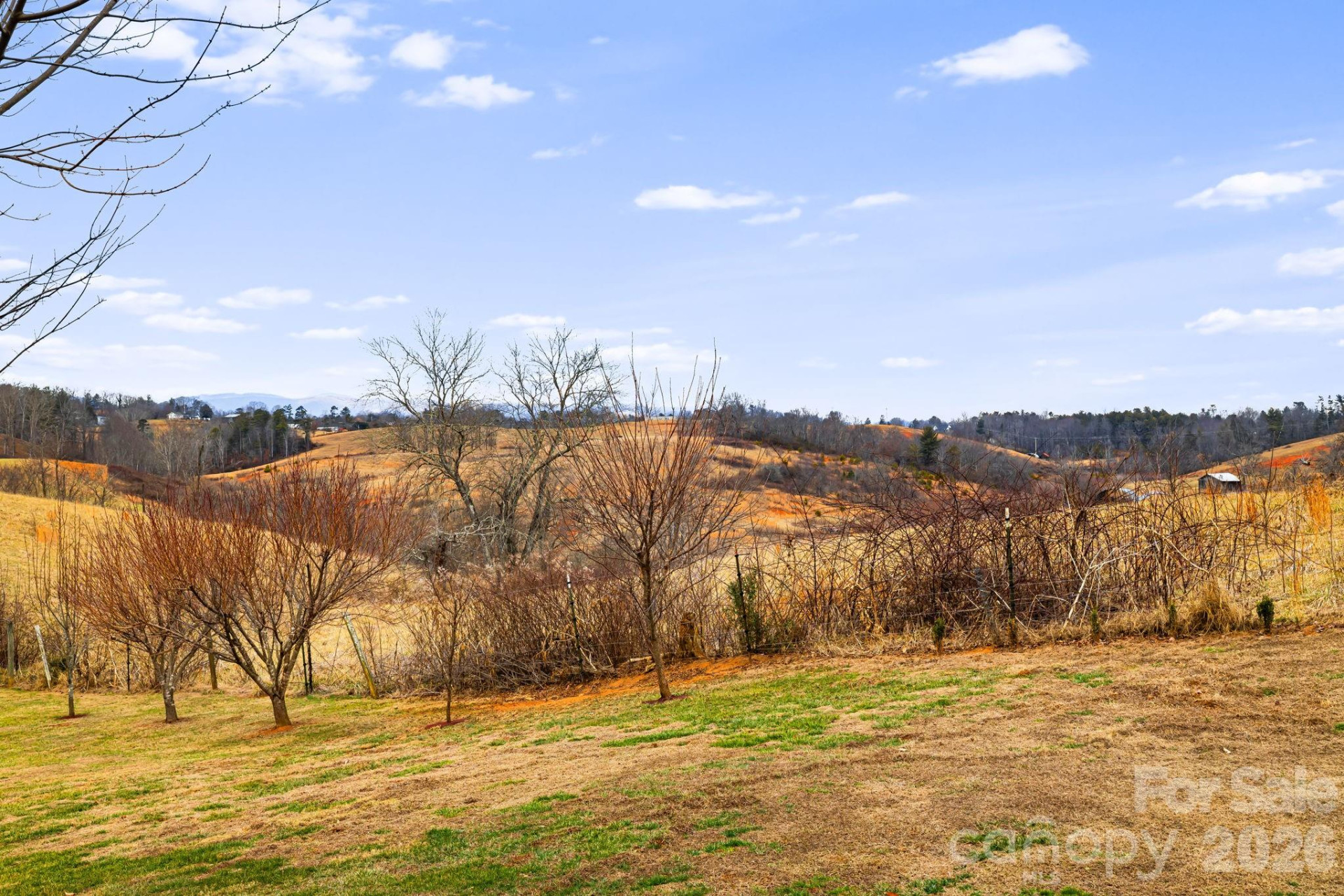 79 Bear Creek Hills Drive - Photo 45