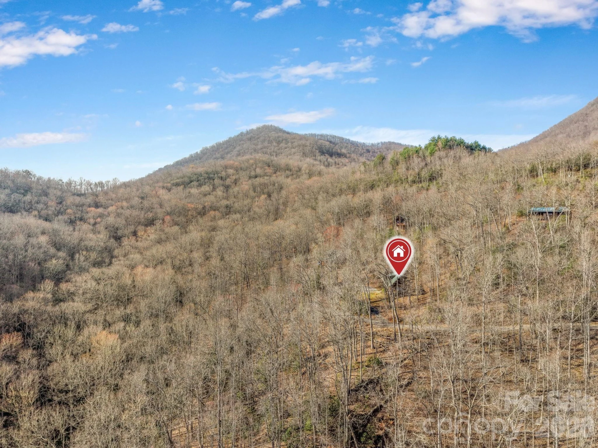 2015 Bettys Creek Road - Photo 41