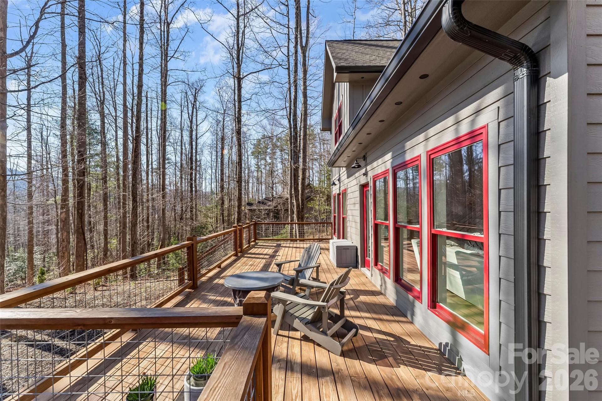 43 Clinchfield Gap Road - Photo 39